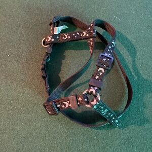 Puppy Leash and Harness
